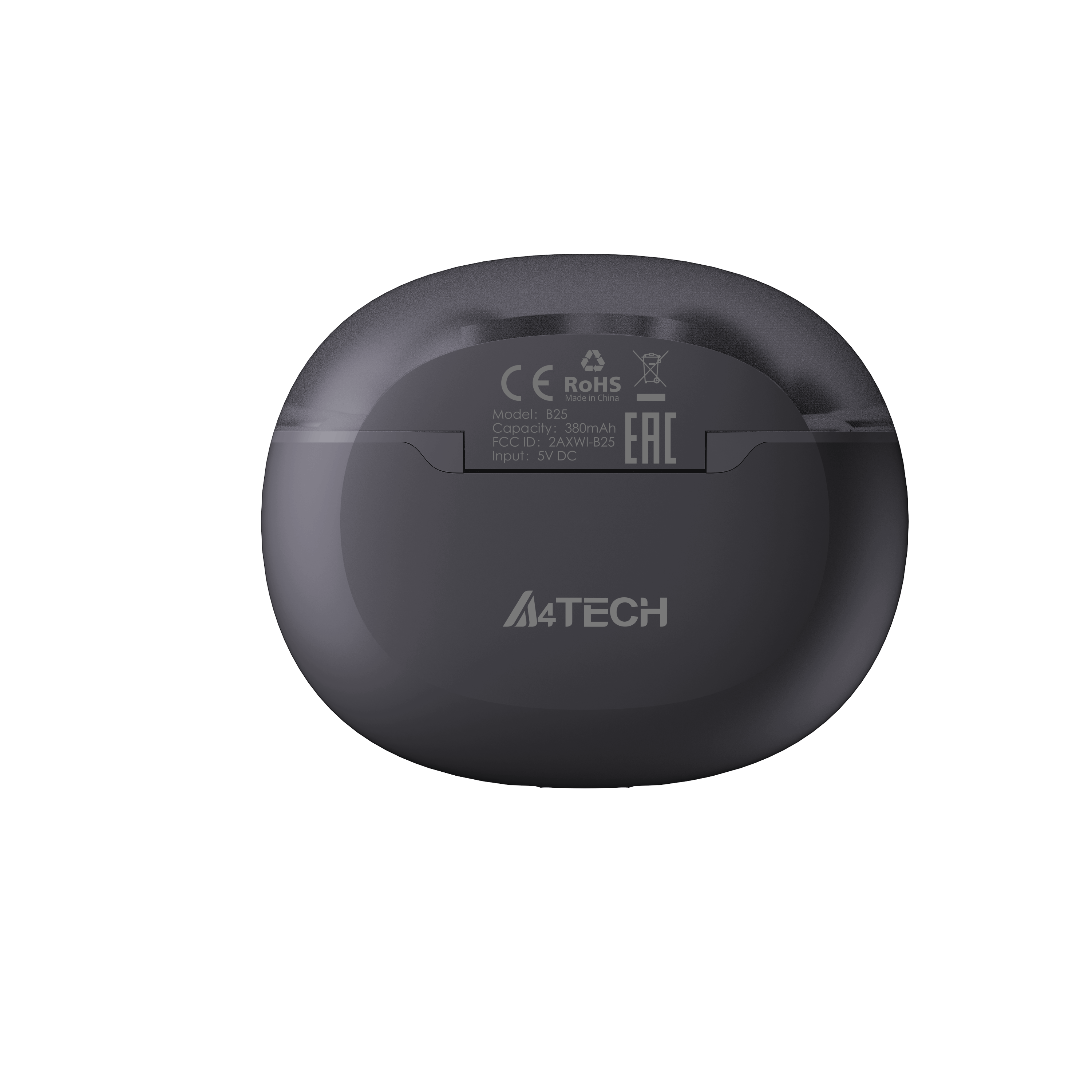 B25 True Wireless Earphone