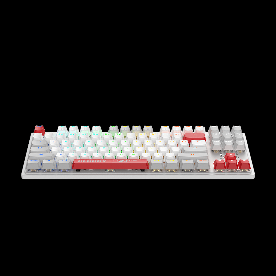 S310N BLMS TKL RGB Mechanical Keyboard