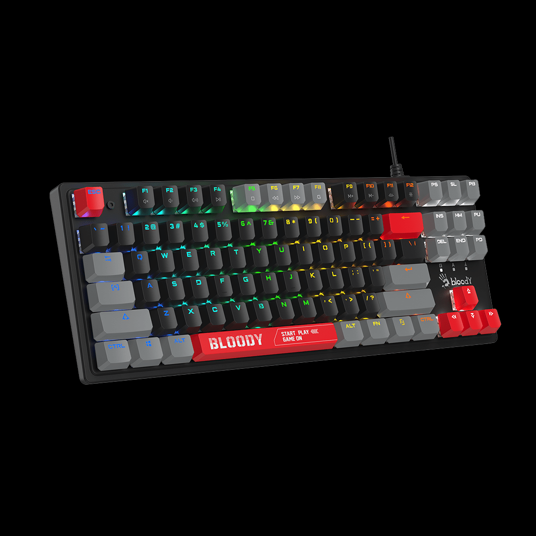 S310N BLMS TKL RGB Mechanical Keyboard