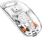 Compro™ 3 Modes Wireless Transparent 2.4G Mouse - Compro System
