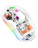 Compro™ New Style Transparent Mouse with Dual Connector