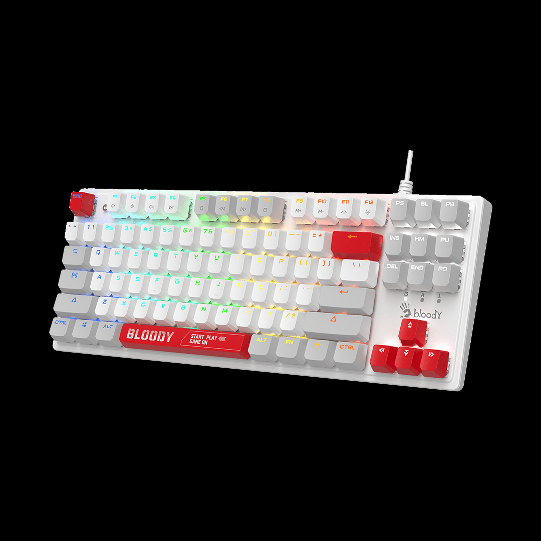 S310N BLMS TKL RGB Mechanical Keyboard