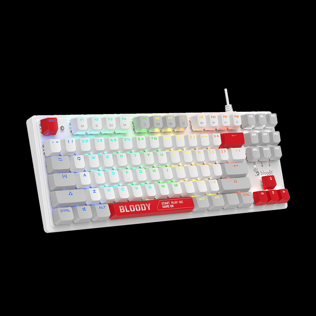 S310N BLMS TKL RGB Mechanical Keyboard